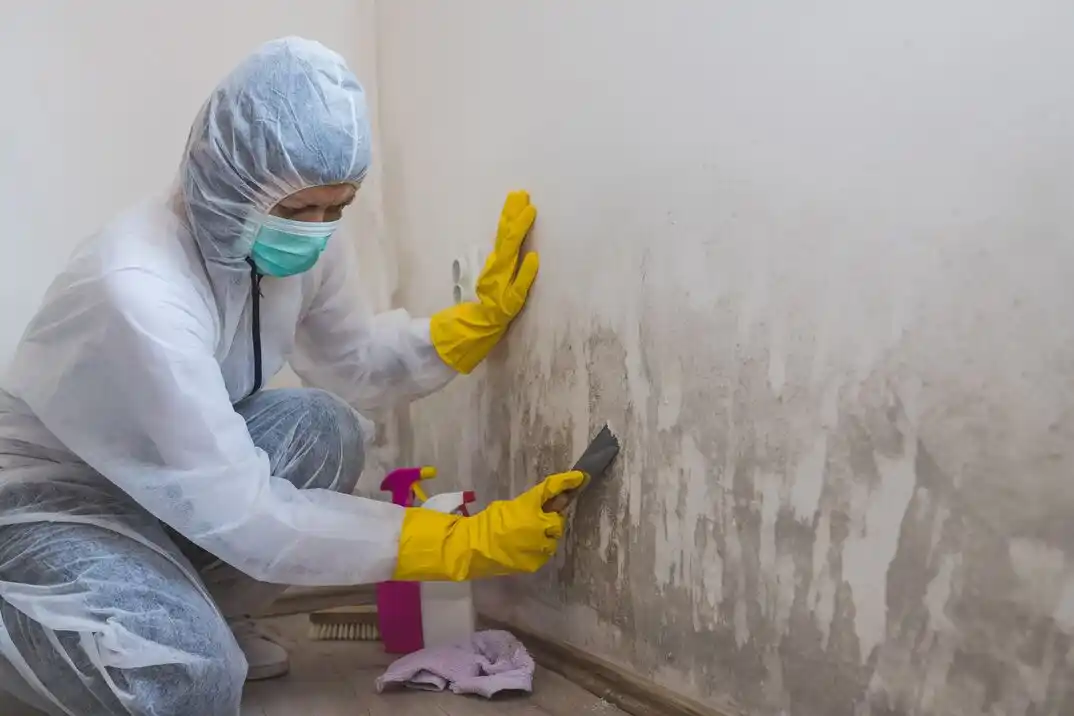 water damage restoration service Greater Gubser